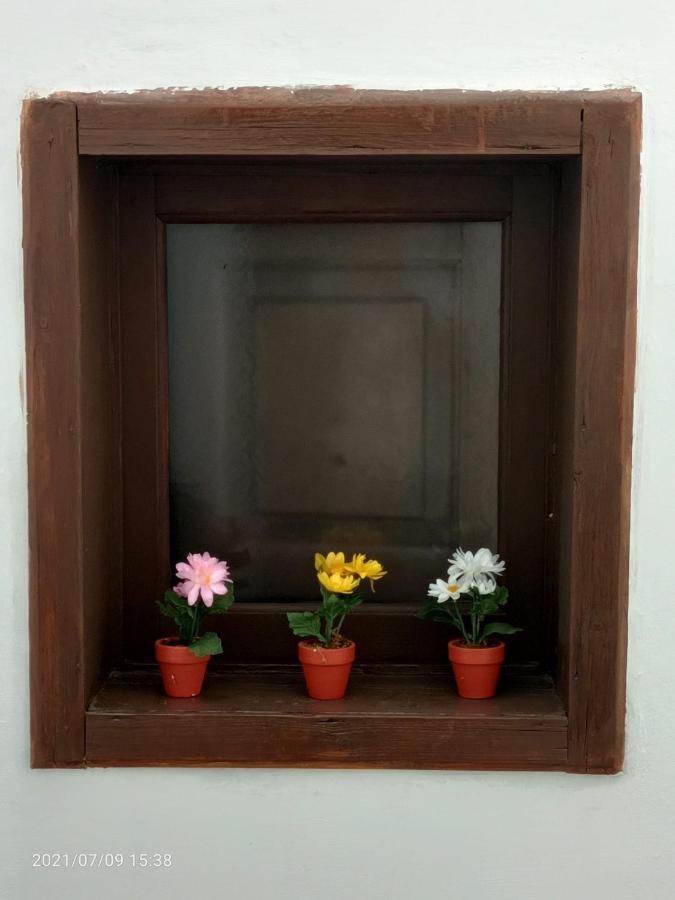 Florhouse Pacini Apartment Catania Bagian luar foto
