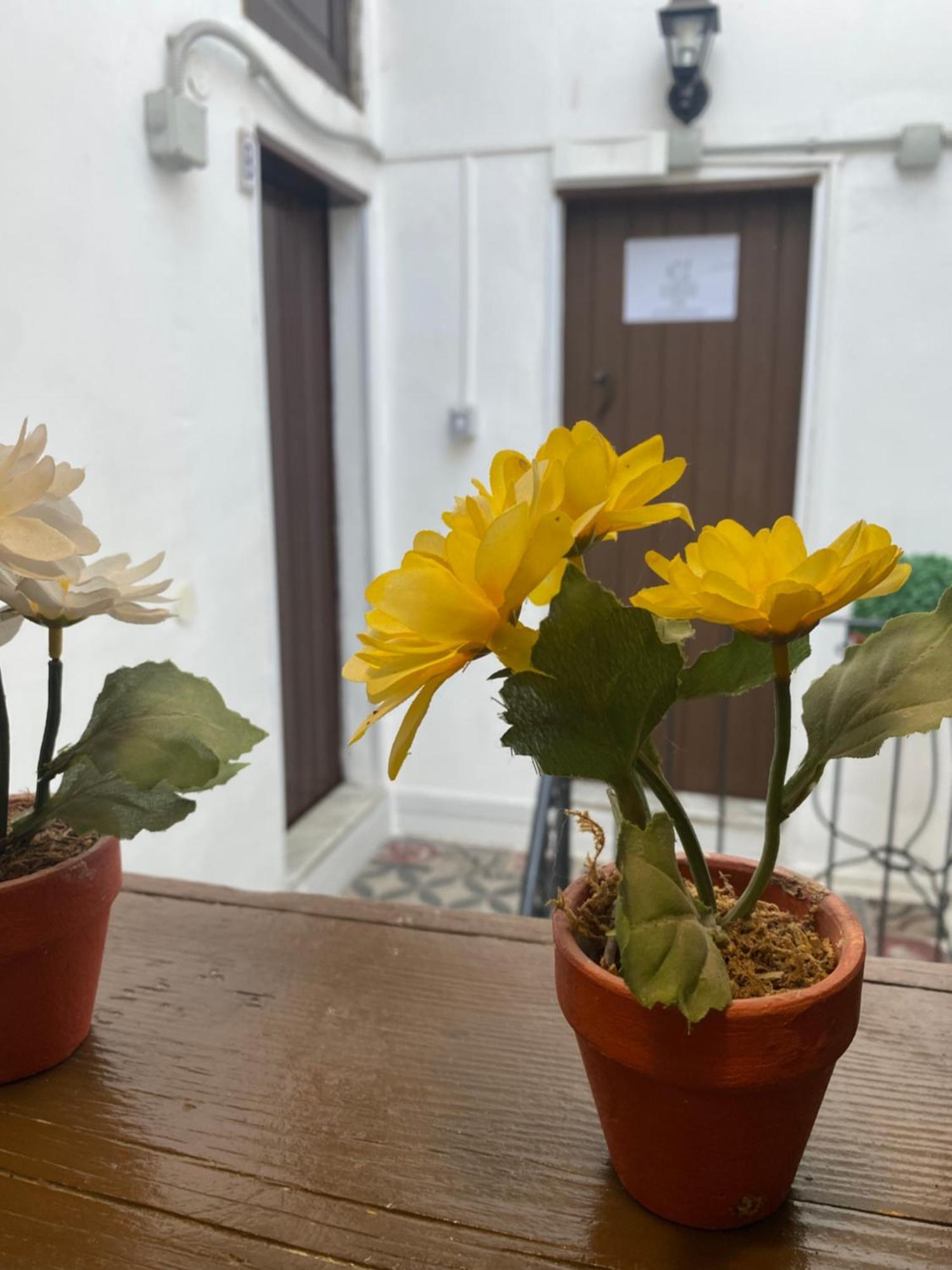 Florhouse Pacini Apartment Catania Bagian luar foto
